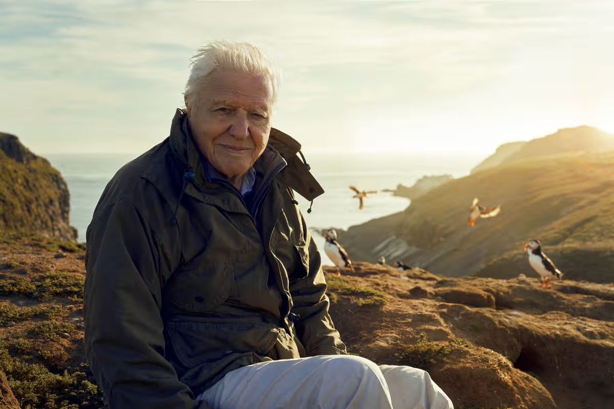 Sir David Attenborough logo